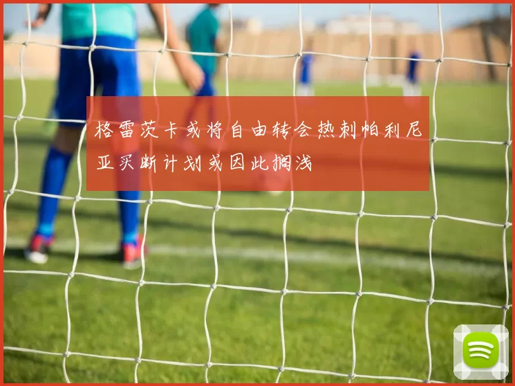 格雷茨卡或将自由转会热刺帕利尼亚买断计划或因此搁浅