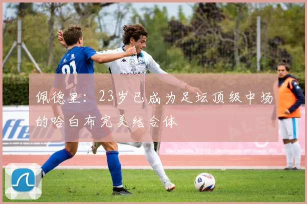 佩德里：23岁已成为足坛顶级中场的哈白布完美结合体