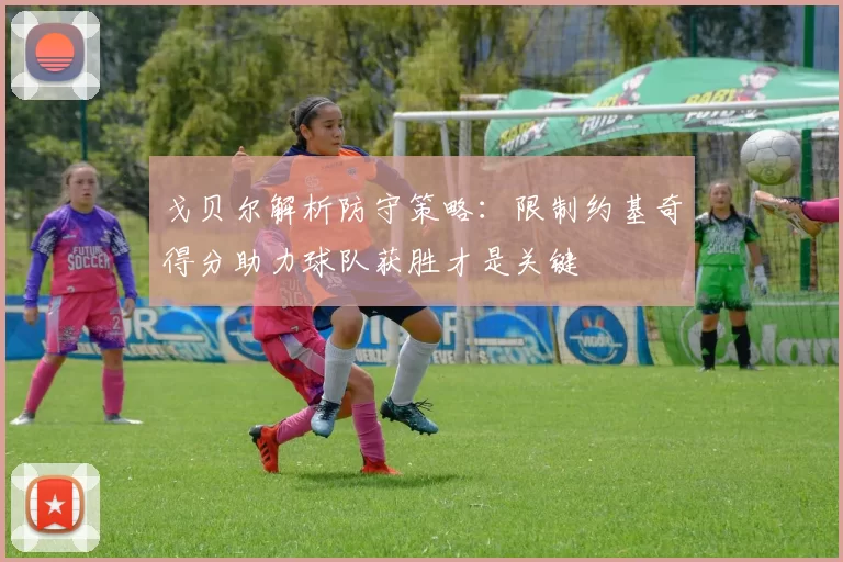 戈贝尔解析防守策略：限制约基奇得分助力球队获胜才是关键